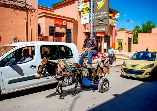 donkey cart